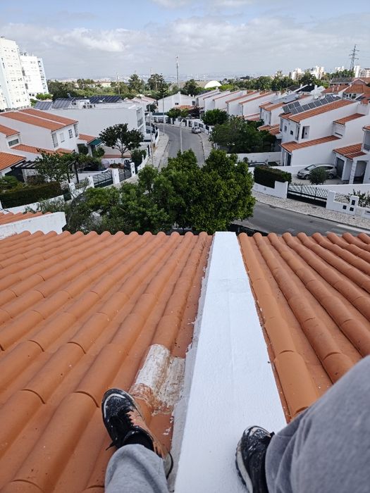 Pinturas de prédio, lavagens de telhado , reparação de fissuras