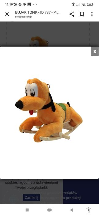 Pies Tofik na biegunach