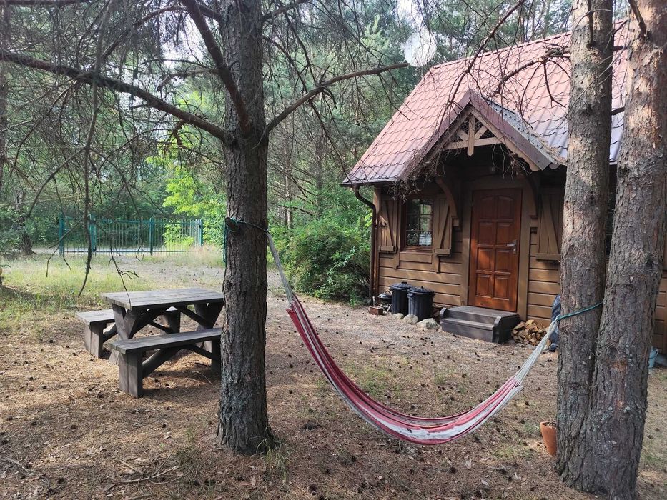 Kaszuby domek Wiktor wolne terminy w sierpniu, last minute, jezioro