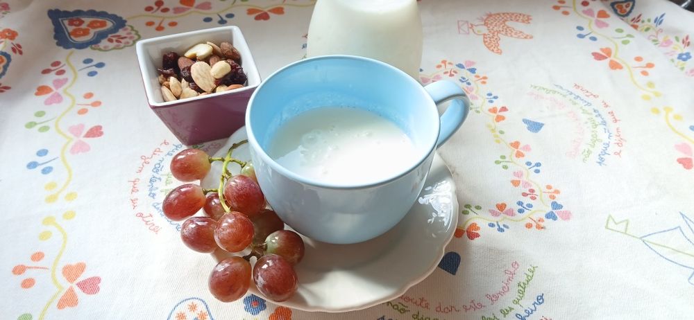 Kefir de leite  (grãos)