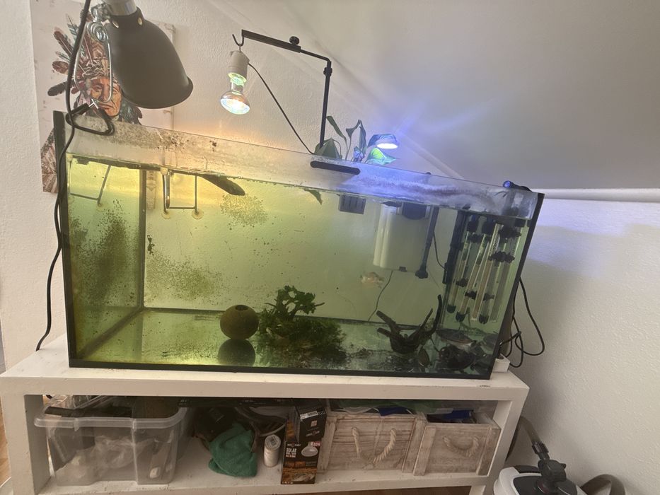 Aquario 200 litros