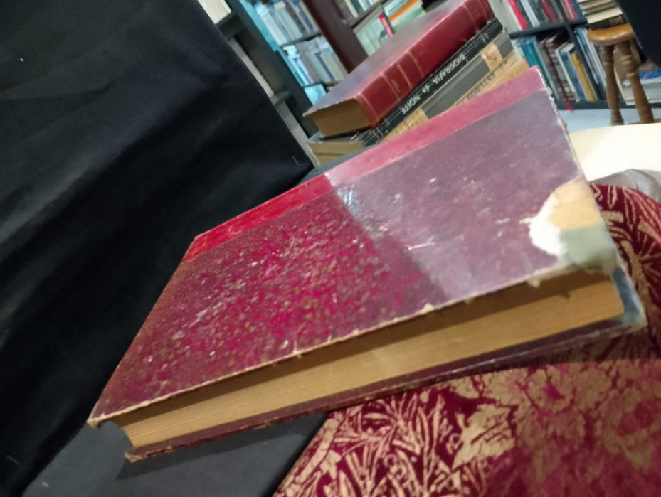 Manual do Ministério Público- Tomo I- José da Cunha N. de Paiva (1900)