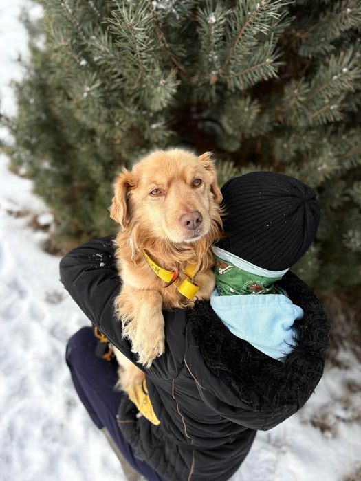 Piękny Pinio ,szuka domu.