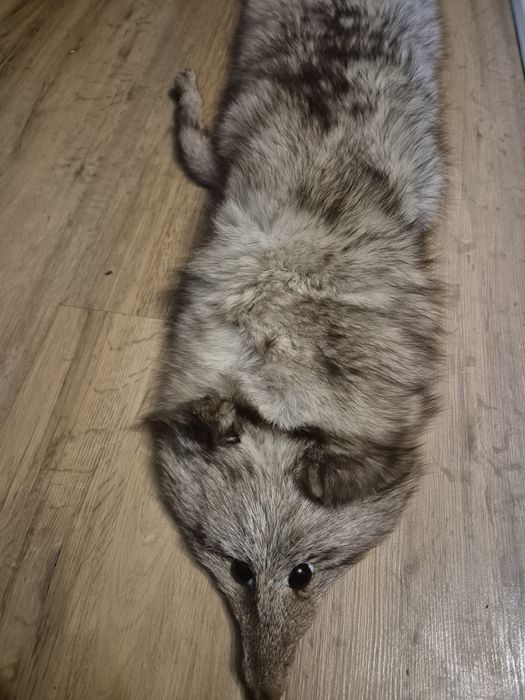 Szal z lisa prawdziwy