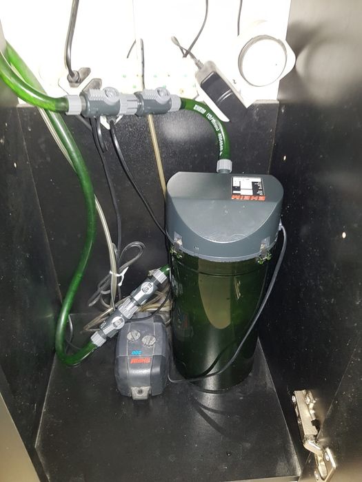 Aquário com móvel e peixes