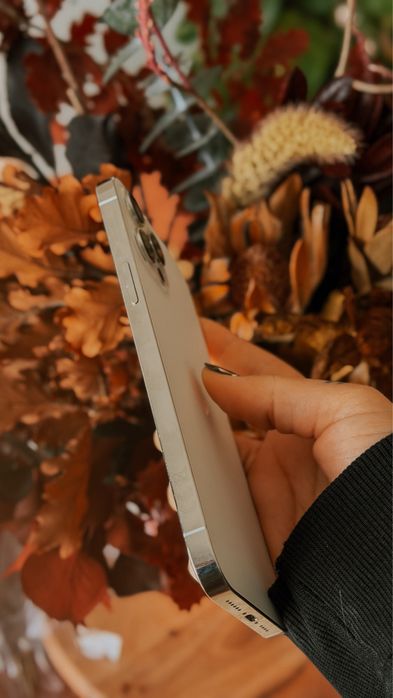 Iphone 12 Pro Max 256gb