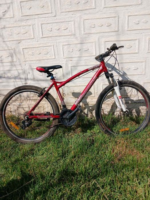 MASCOTTE 26" CAMELLIA MTB р 18" червоний