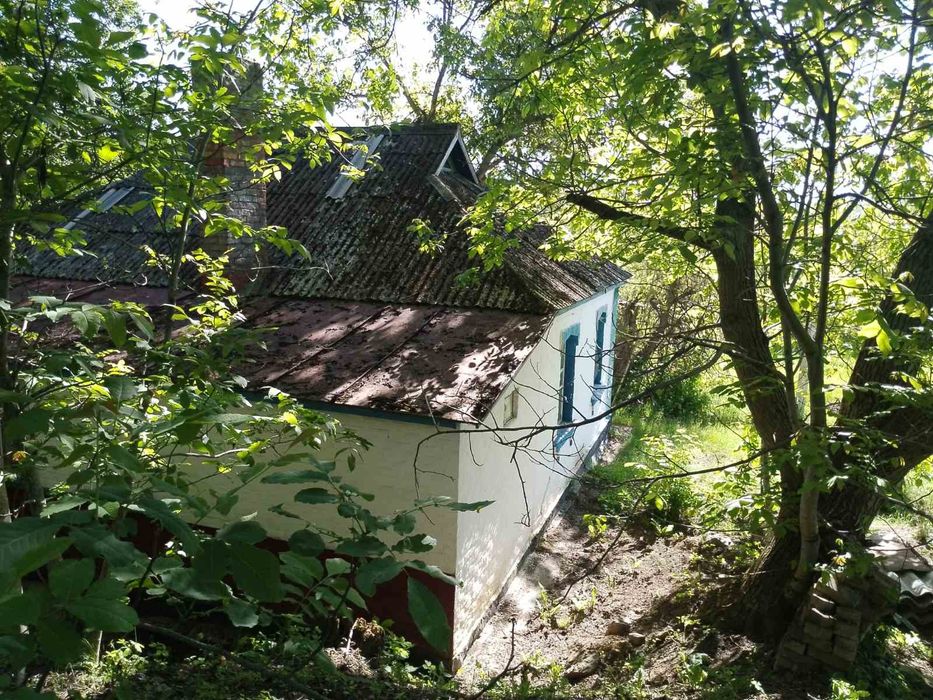 Продаж будинку село Голяки Канівського району Черкаської області