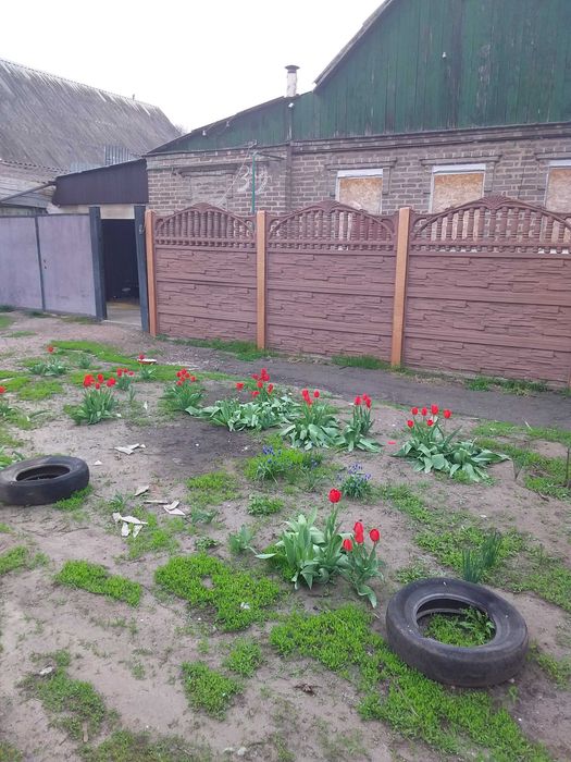Продам дом цегляний