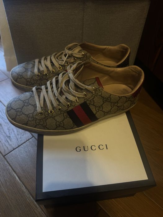 Кеди gucci жіночі