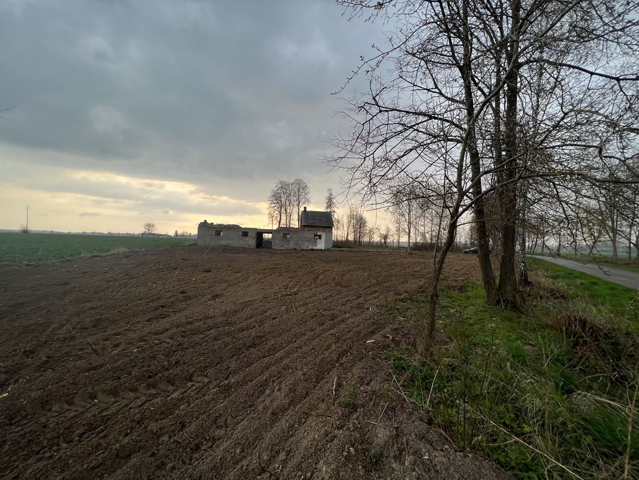 Działka budowlana 15km od Ciechanowa asfaltowy dojazd !!!