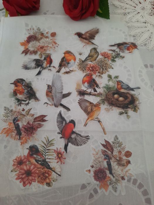 15 stickers pássaros selvagens, autocolantes scrapbooking.