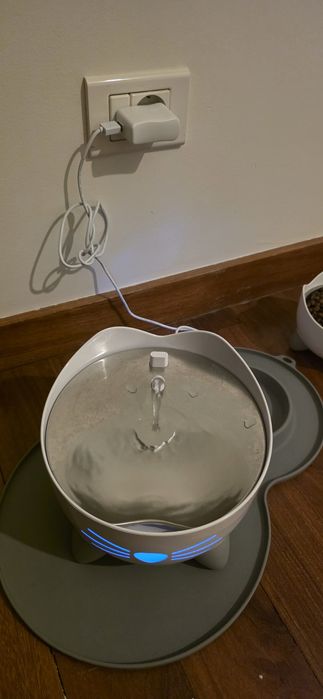 Fonte água para gatos