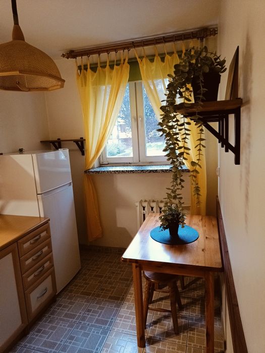Wynajmę mieszkanie 36m2