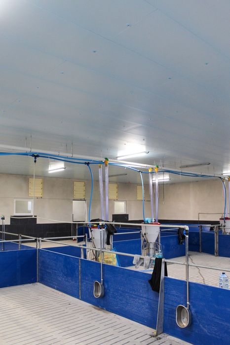 Podsufitka do Budynków Inwentarskich i Magazynowych Styrodur XPS AGRO