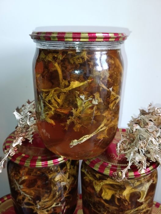 Мед з ісландським мохом,сироп з кульбаби, мёд с одуванчика