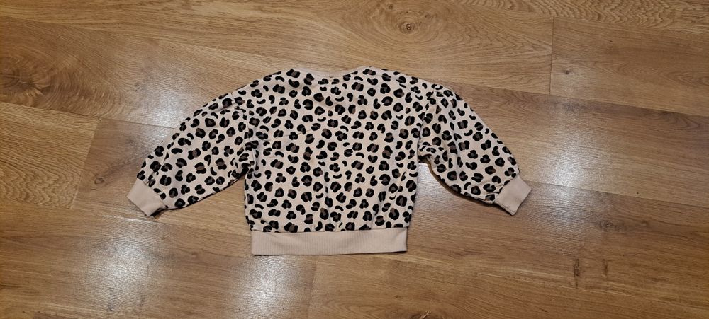 Bluza dziewczęca Sinsay r. 116 cm