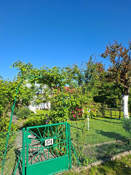 Dzialka rekreacyjna ROD Relax - Widok 3