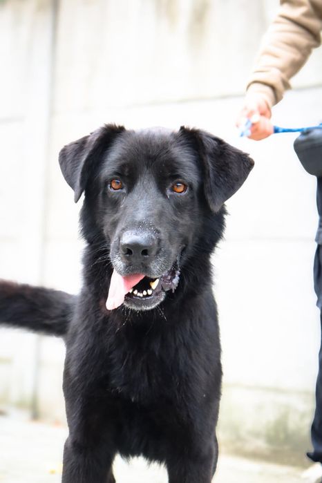 Najlepszy dom dla Olafa