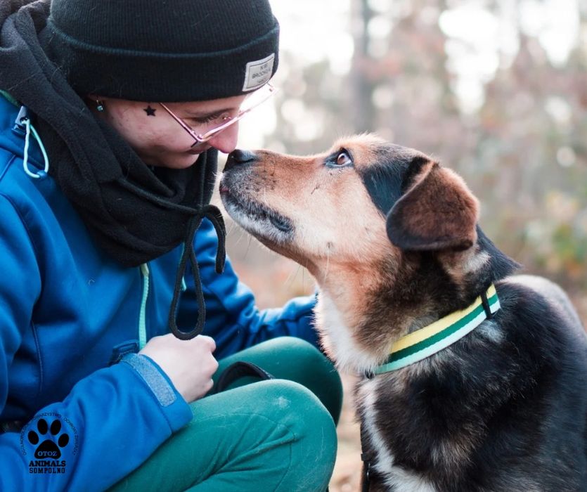 3 letni Sammy szuka domu!