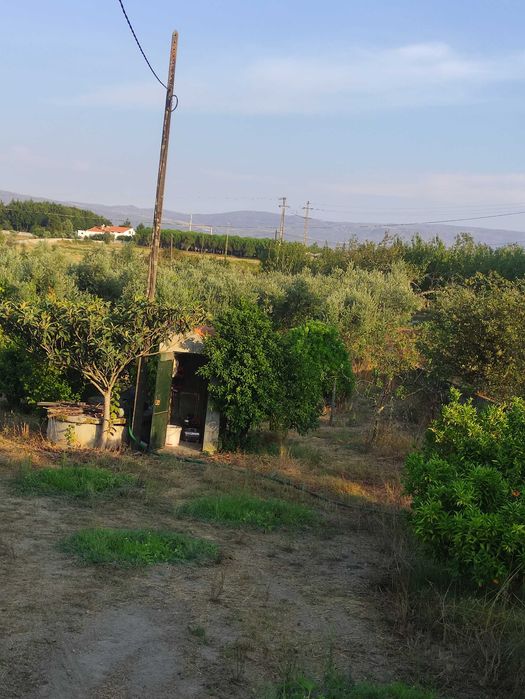 Terreno/Quinta urbanizavel