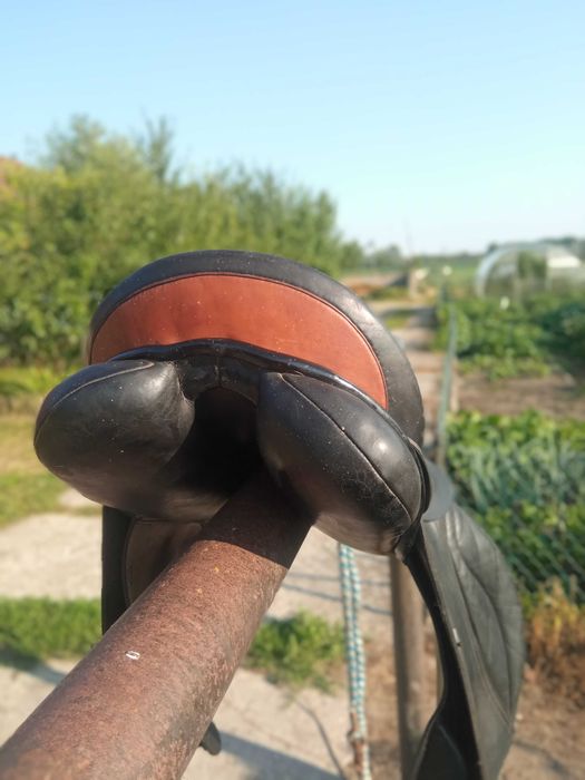 Siodło DawMag Hubert junior exclusiwe