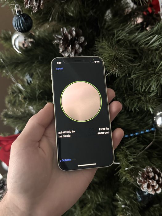 iPhone 12 mini 64 gb green