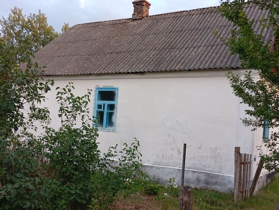 Продам будинок с.Чижівка(Іванівка)