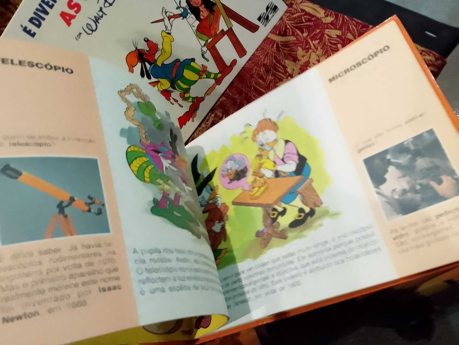É divertido Conhecer "Walt Disney"