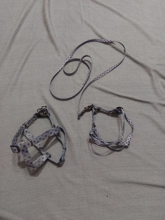 Поводок для собаки. 2в1