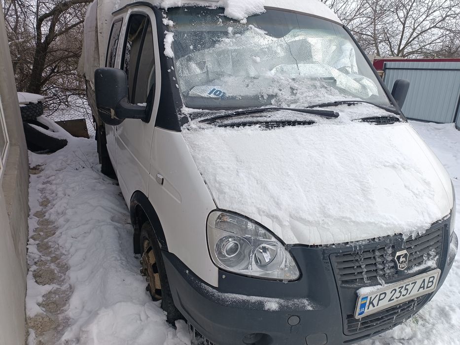 Газель дуэт 33023