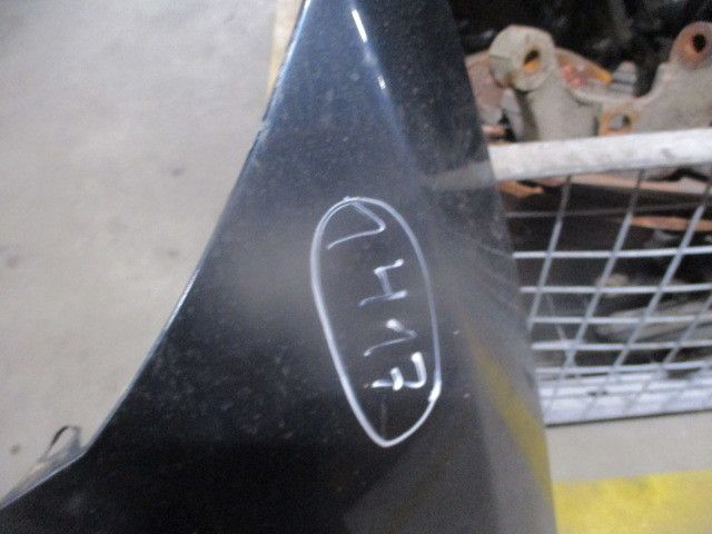 Guarda-lamas esquerdo RENAULT Megane III (BZ0_)