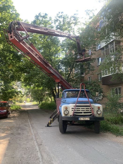 Спил та зруб дерев у Полтаві