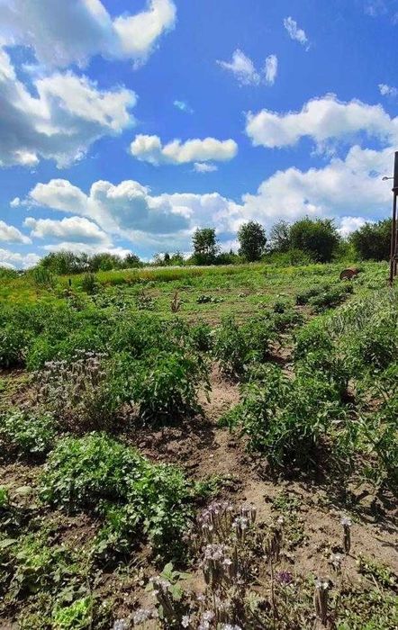 Продам добротний цегляний будинок  зі зручностями в Дергачах