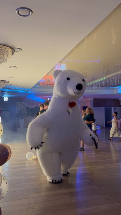 Fotobudka 360, Biały miś, Stich, dmuchany namiot imprezowy