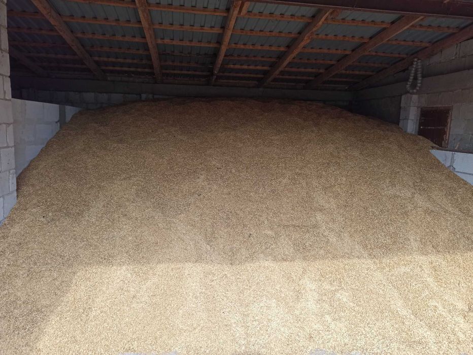 Sprzedam OWIES Poker