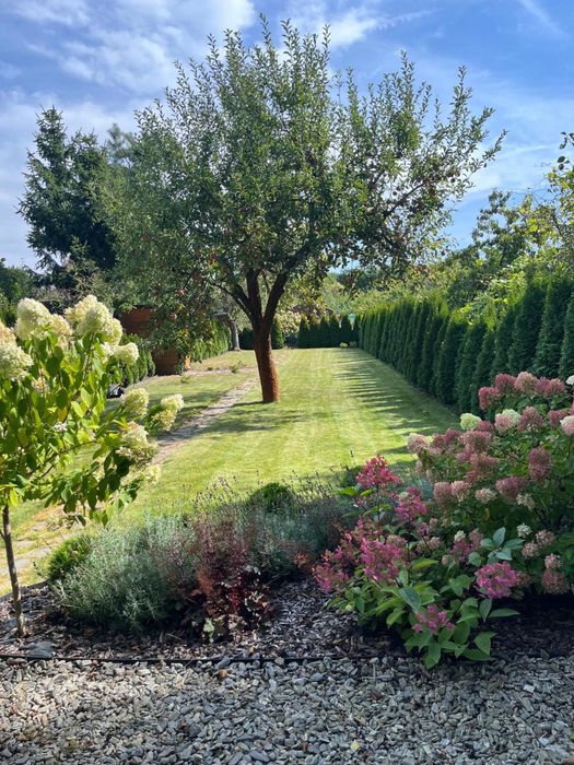 Działka ROD na sprzedaż