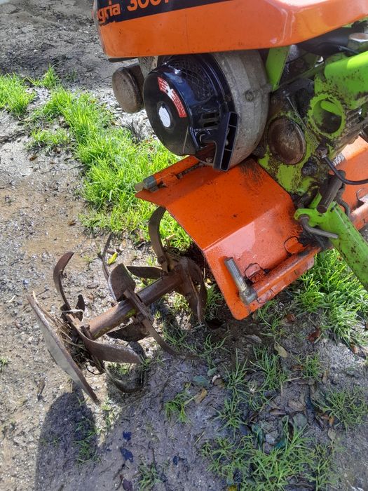 Vento motoenxada agria