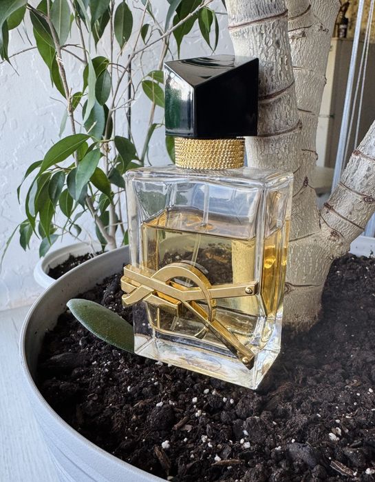 Оригінал YSL Libre