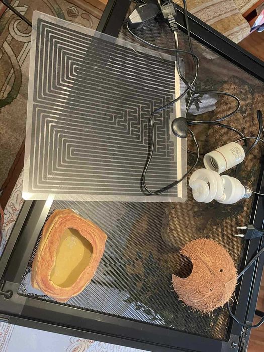 Terrarium 60x45x45 + akcesoria