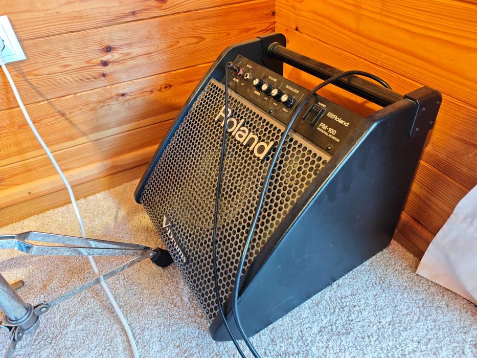 Monitor Roland PM 10