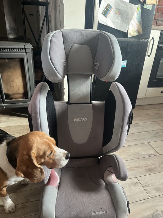 Fotelik Recaro Monza 15-36