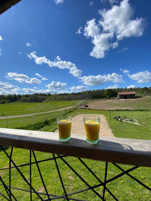 Domki na mazurach mikolajki lipowo sauna jacuzzi