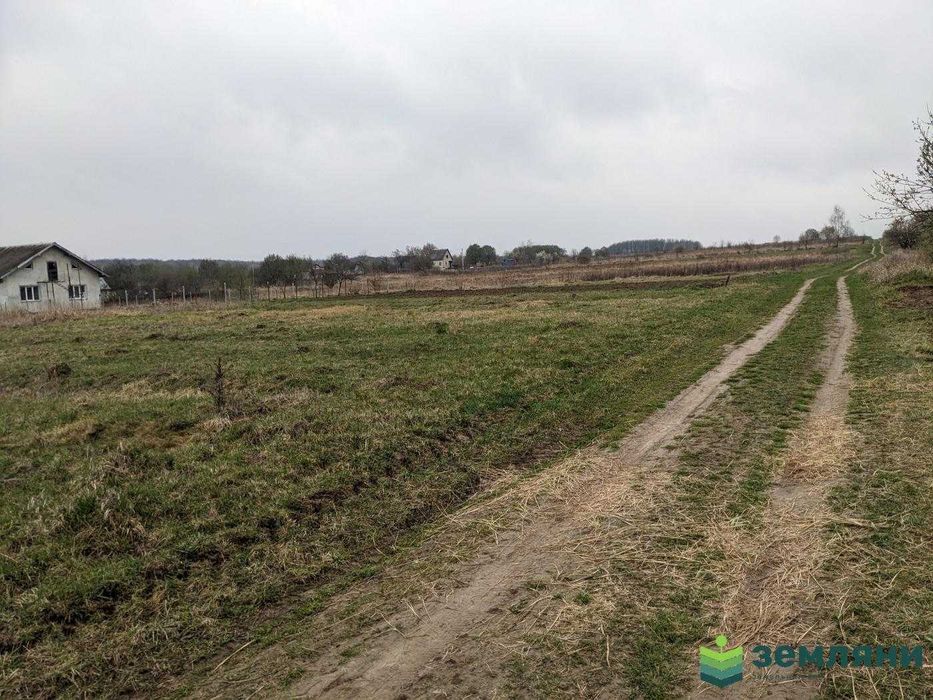 Продаж землі 36 соток під будівництво та ОСГ с.Колодіївка (5)