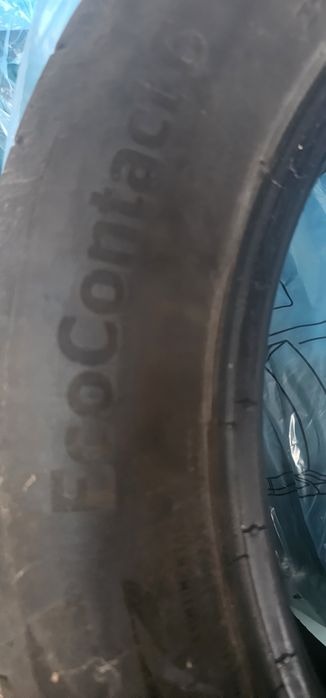 Continental Ecocontact 6 216 r17 55 v94