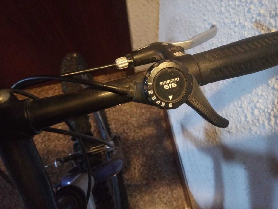 Bicicleta  grande/6 Marchas Shimano/Marca:Alberto Silva.