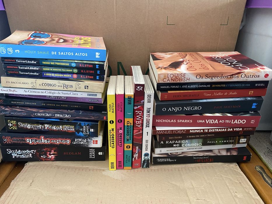 Lote de livros variados de género