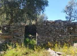 Terreno rustico isolado 1179m2 benquerencas castelo branco