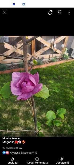 Działka rod metalowiec