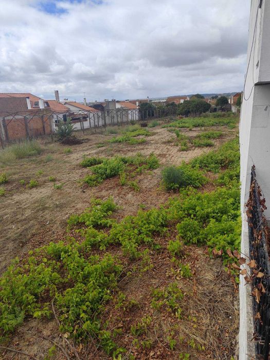 Terreno para Construção - 932m2 - AV Carlos Relvas 52 - Alpiarça